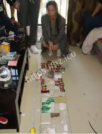 香港16岁少女制毒案