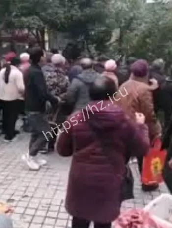 重庆巫溪黄桷树倒掉