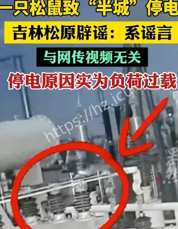 一只松鼠让半城停电